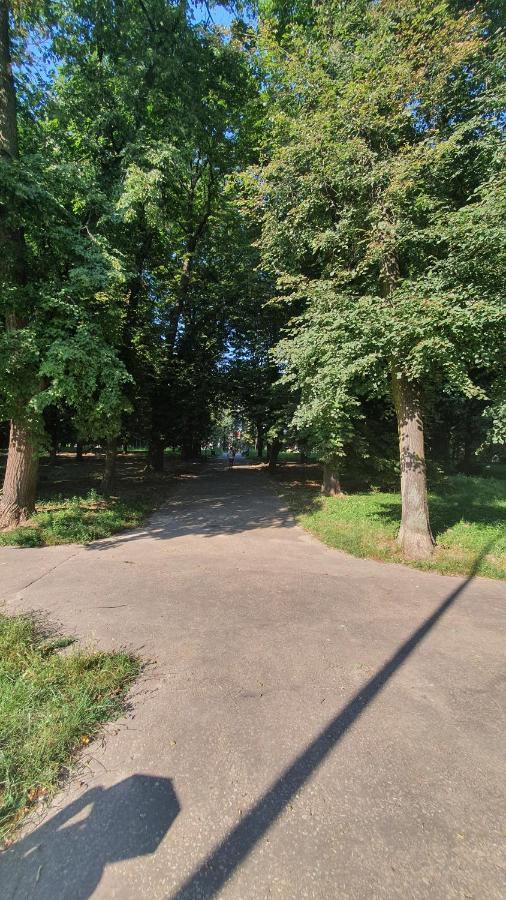 Apartament Park Saski Sandomierz Exteriör bild