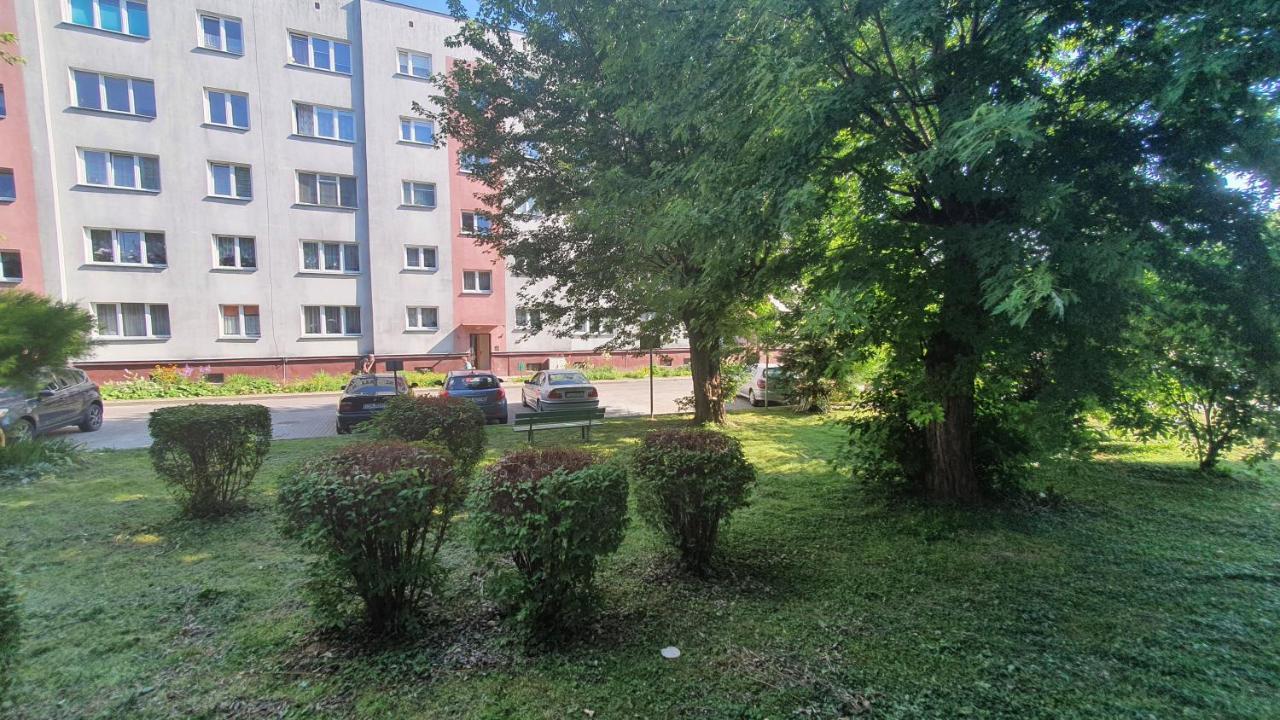 Apartament Park Saski Sandomierz Exteriör bild
